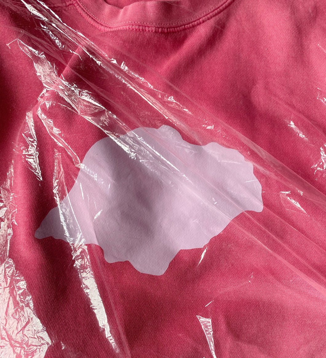 Sweatshirt: Pink Starstyling Island